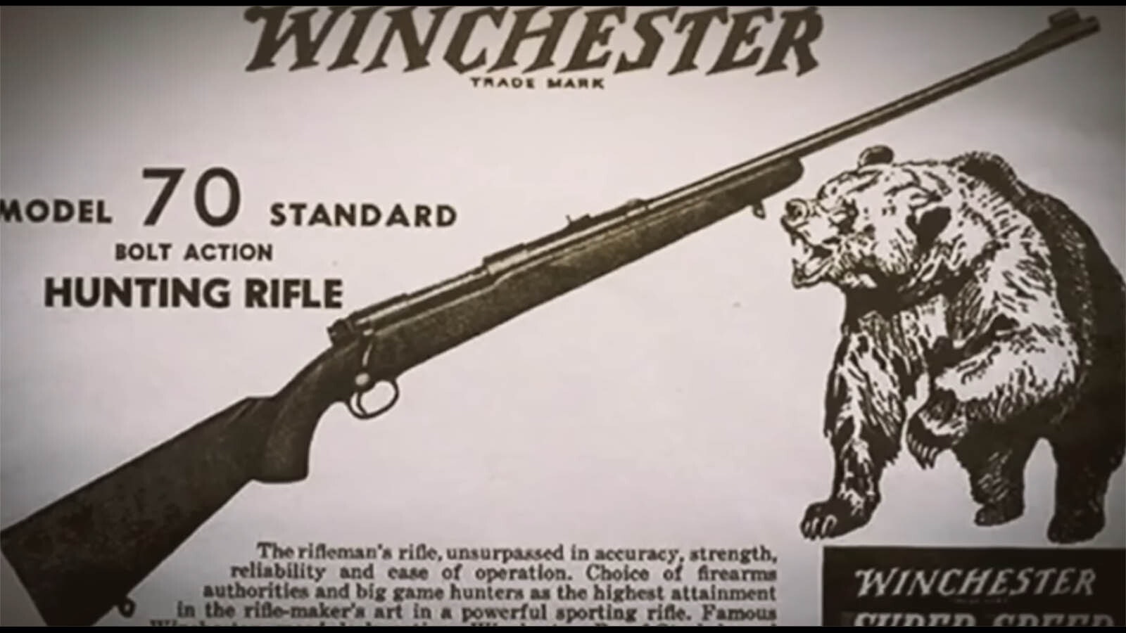 An ad for the Winchester Model 70 Standard rifle.