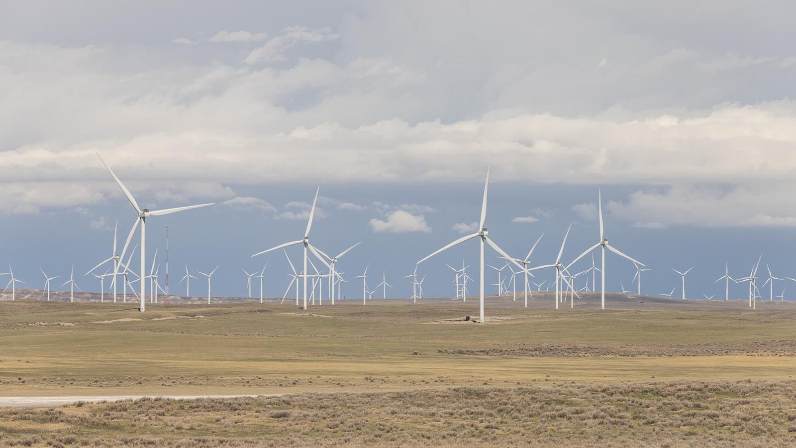 A large wind farm in southern Wyoming near Medicine Bow in this file photo.