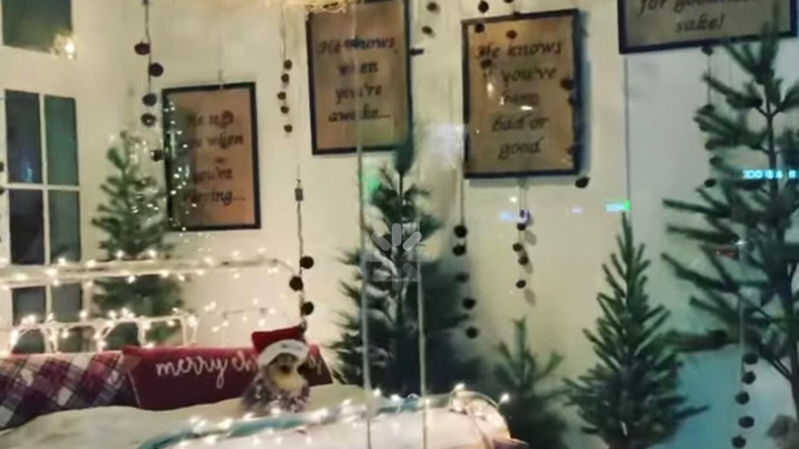 Windswept Goods 2020 Winner of Window Decorating DDA Main Street Facebook 1