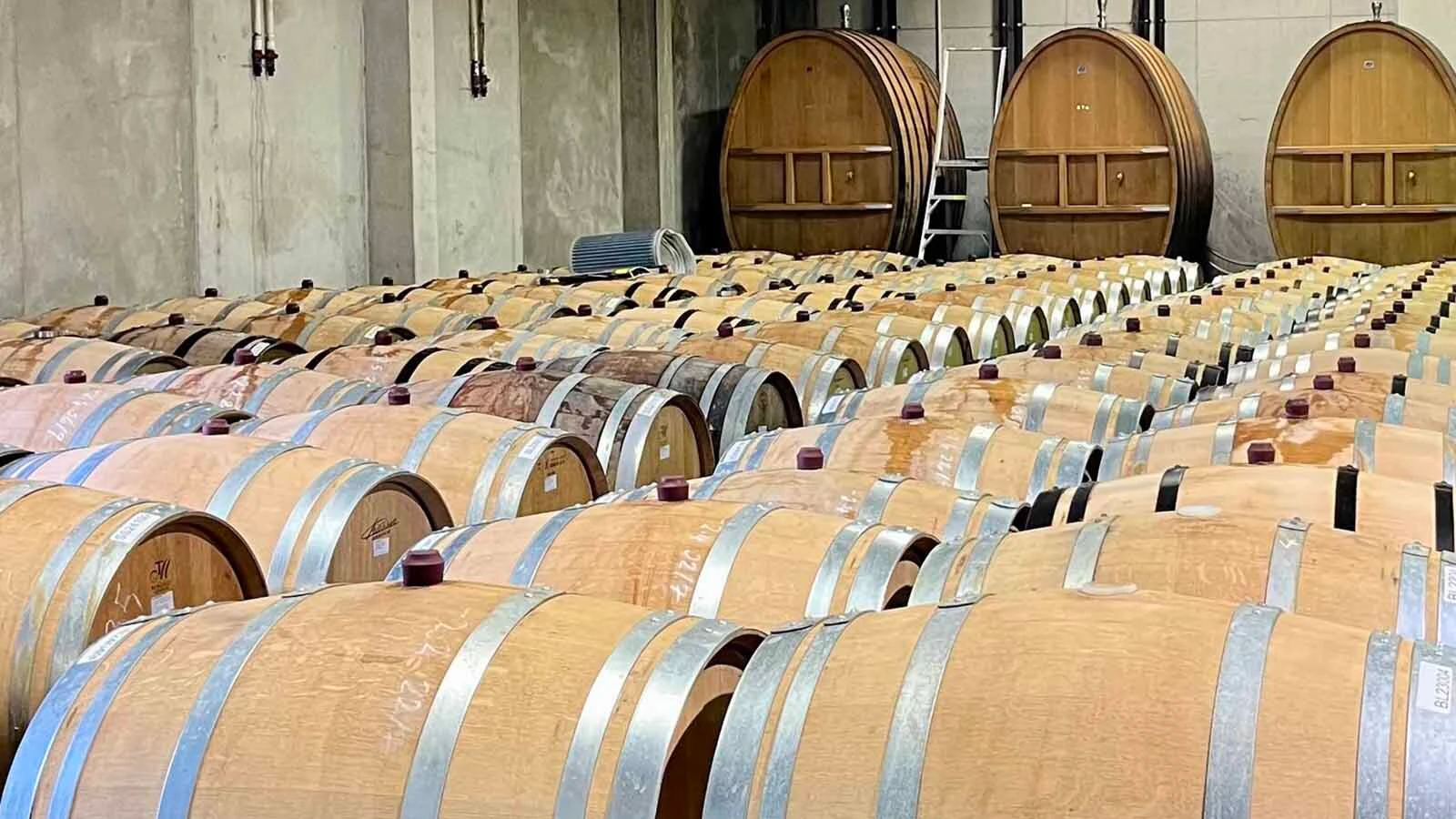 Tell Christopher Volzke he can’t grow something in Wyoming, and it’s game on. Volzke and his wife, Angie, started their Unlocked Vines winery in Casper after winning a silver medal from Winemaker Magazine with a wine made from their Wyoming-grown grapes.