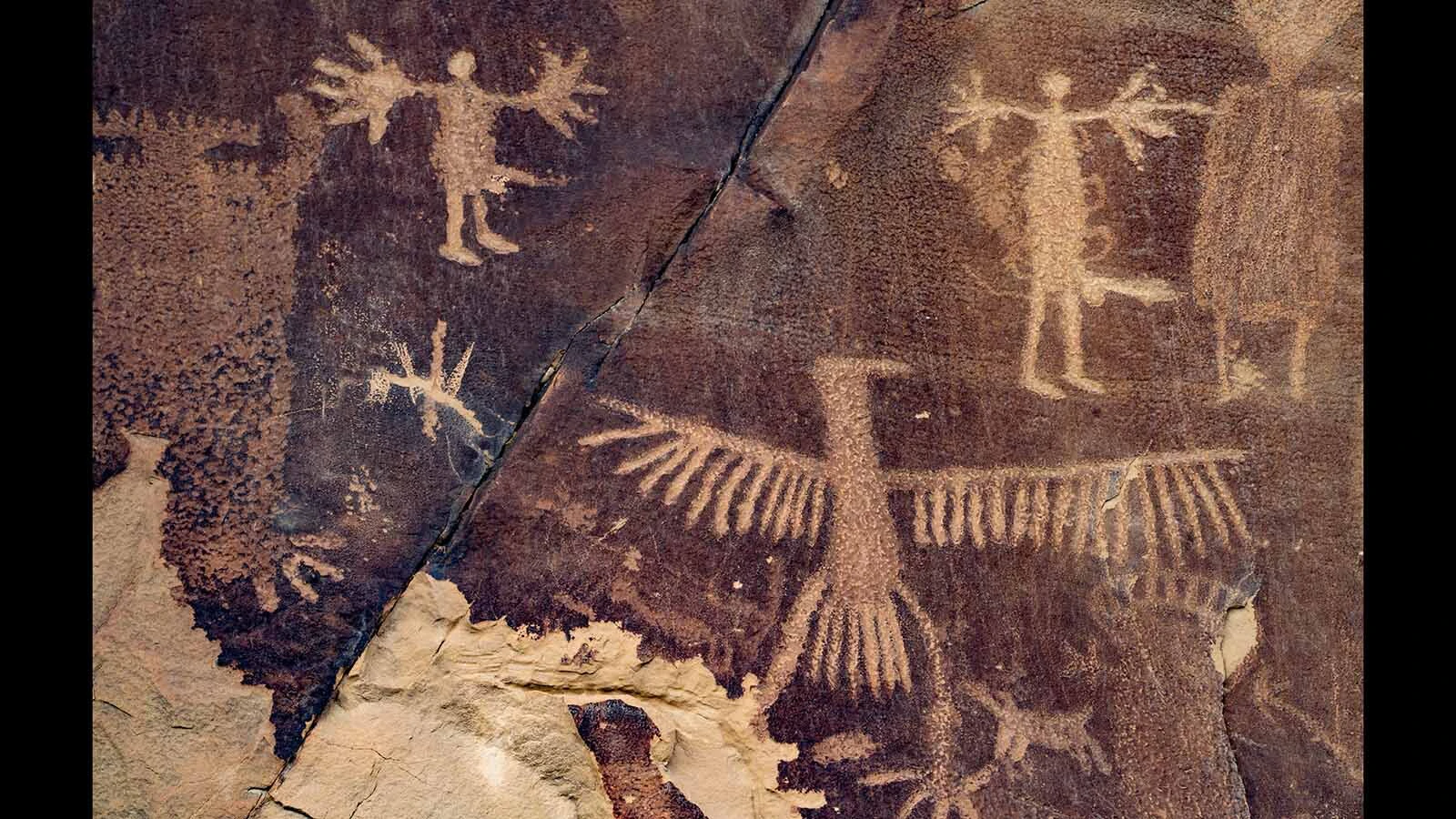 Many Native American tribes have legends of the "Thunder Bird," a giant bird that would soar high above the clouds. In 1890, a pair of cowboys claimed to have stumbled on a giant bird in the Arizona desert but skeptics now wonder if it was a hoax rather than a scientific discovery. Locals who claimed to have talked to these ranchers say that it was true though the creature only had a 30 foot wingspan, not 160 feet.