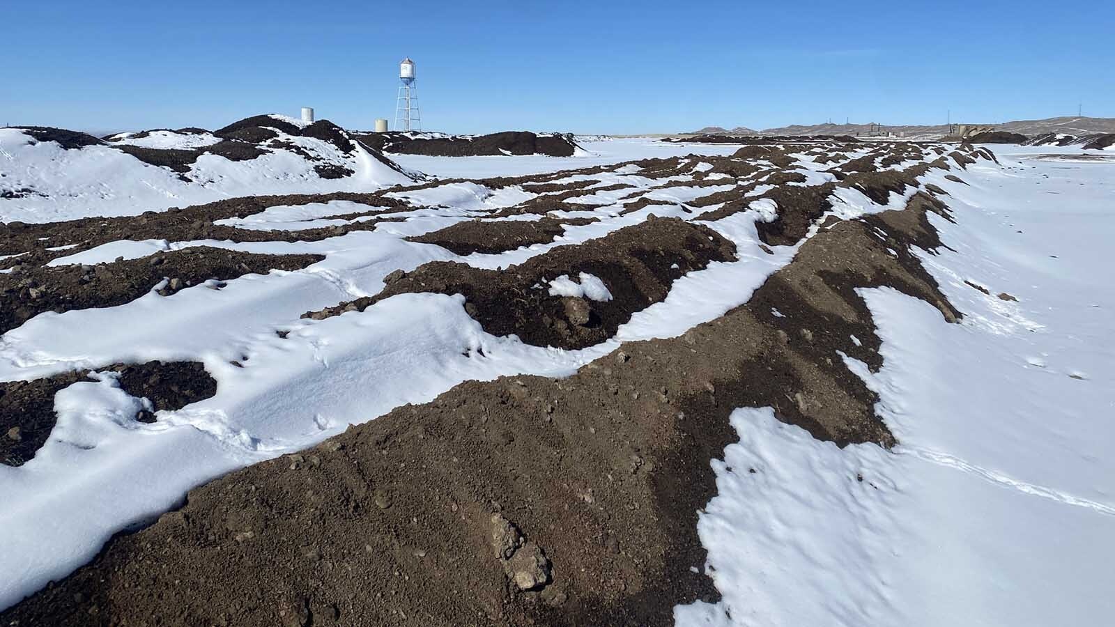 A good, wet snow will soak into the soil and support life. However, this winter when there has been little to no snow, soil scientist Caitlyn Youngquist recommends watering the ground during the winter.  