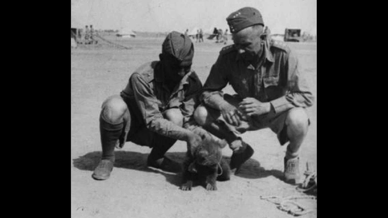 Wojtek was an orphaned brown bear cub that was adopted by Polish soldiers during World War II and served honorably during the war. He helped move ammunition during battle and achieved the rank of corporal.