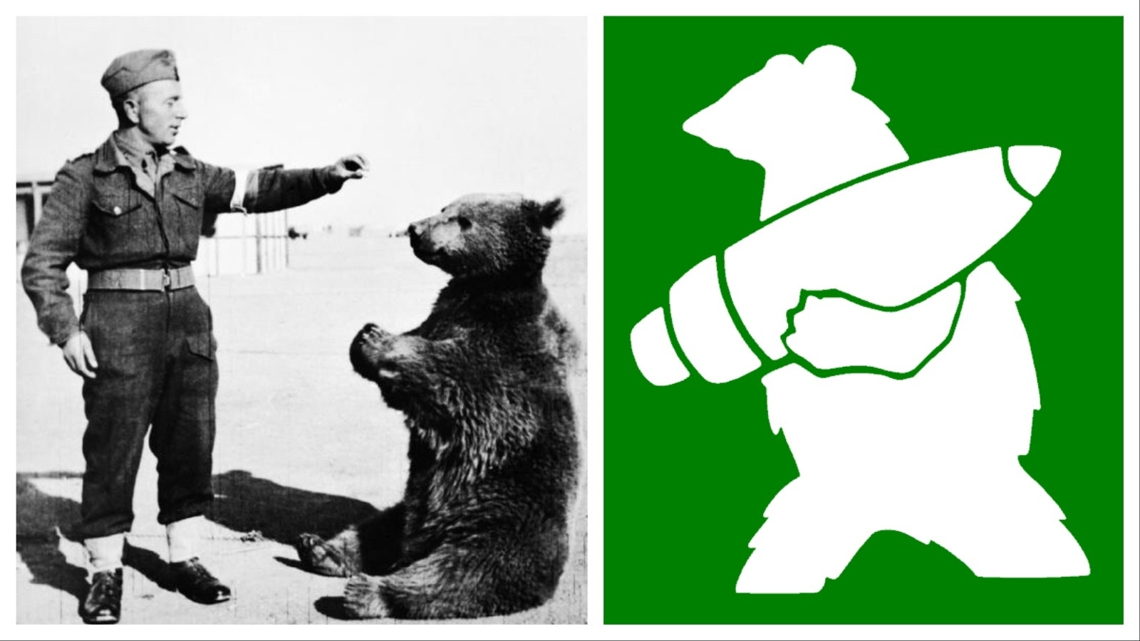 Wojtek was an orphaned brown bear cub that was adopted by Polish soldiers during World War II and served honorably during the war. He helped move ammunition during battle and achieved the rank of corporal.