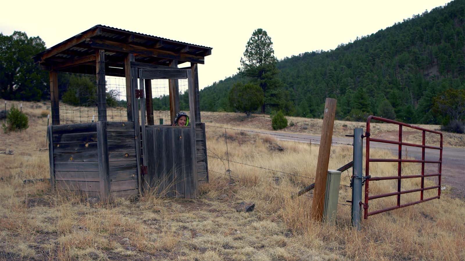 A rural county in New Mexico makes children sit inside cage-like roadside shelters called “wolf houses" while waiting for school buses. That’s because their parents worry that wolves in the area might attack the children.