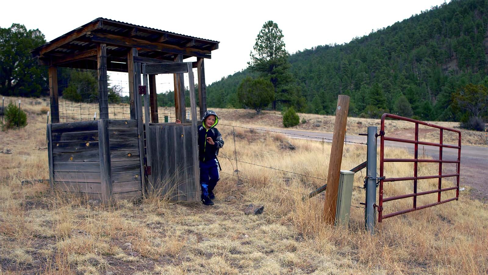A rural county in New Mexico makes children sit inside cage-like roadside shelters called “wolf houses" while waiting for school buses. That’s because their parents worry that wolves in the area might attack the children.