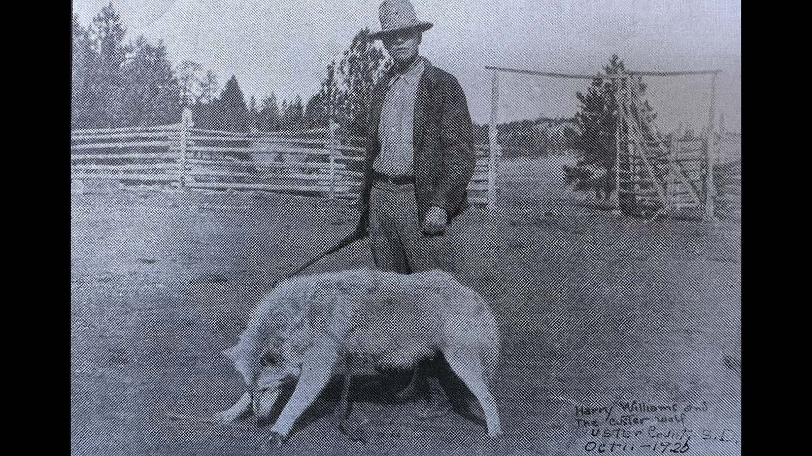 Henry P. Williams, nicknamed High Powered, tracked the Custer wolf for eight long months. The infamous wolf was finally trapped and shot on Oct. 11, 1920 in Custer County, South Dakota.