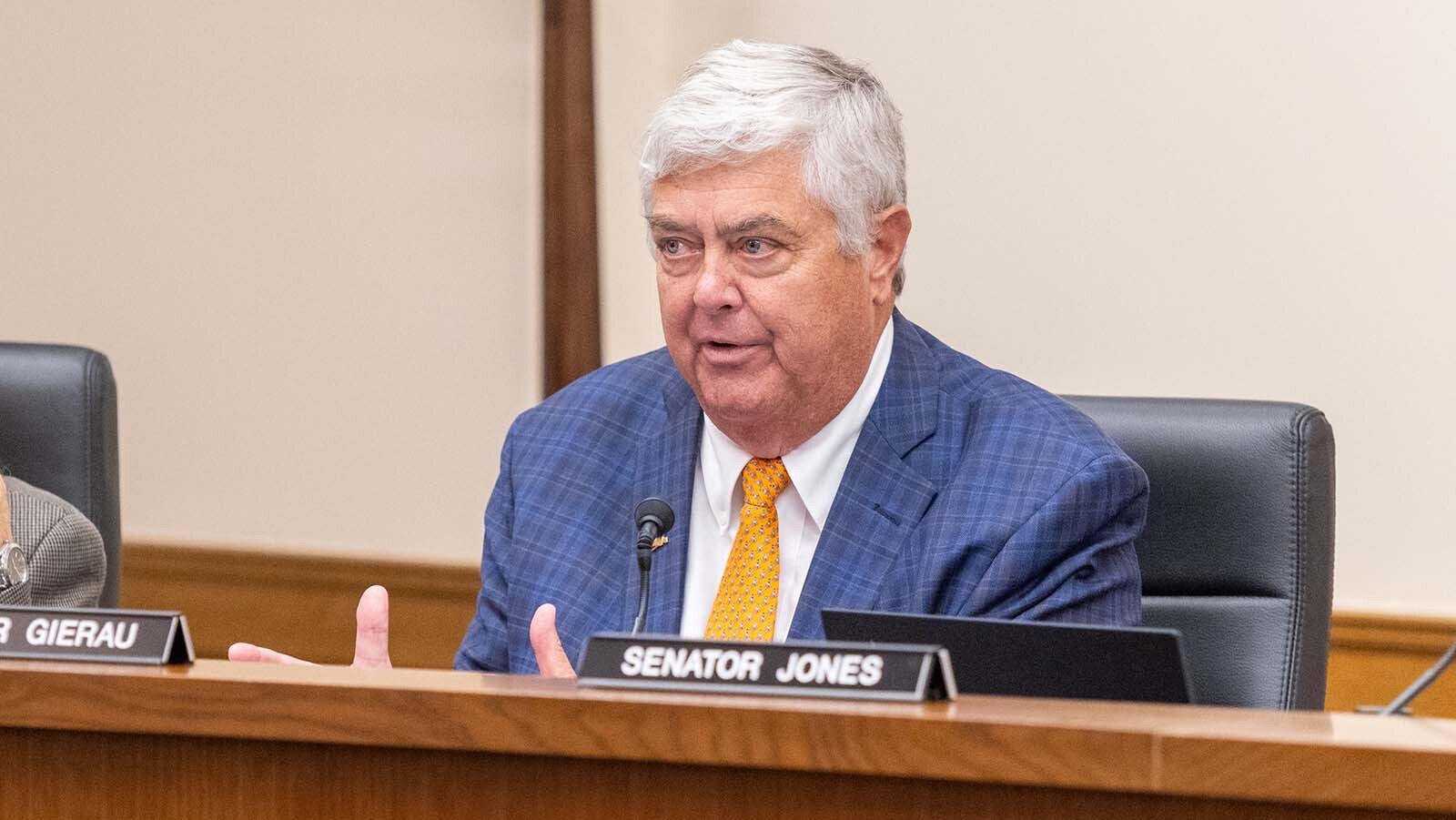 Sen. Mike Gierau speaks during Monday's Joint Travel, Recreation and Wildlife Resources Committee meeting.