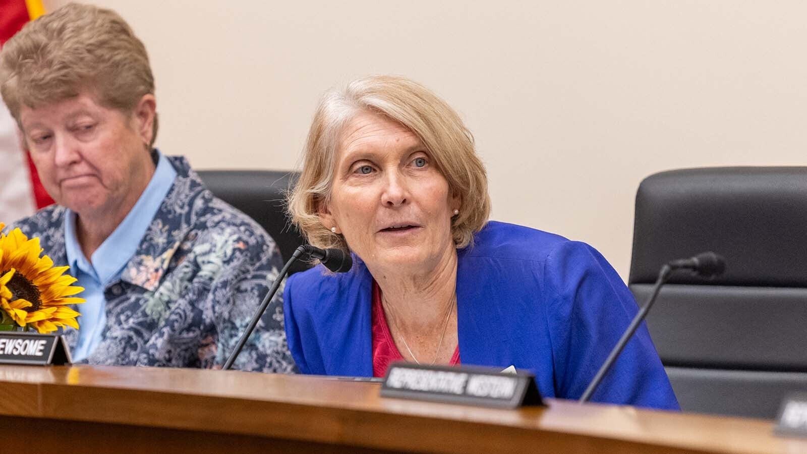 Rep. Sandy Newsome speaks during Monday's Joint Travel, Recreation and Wildlife Resources Committee meeting.