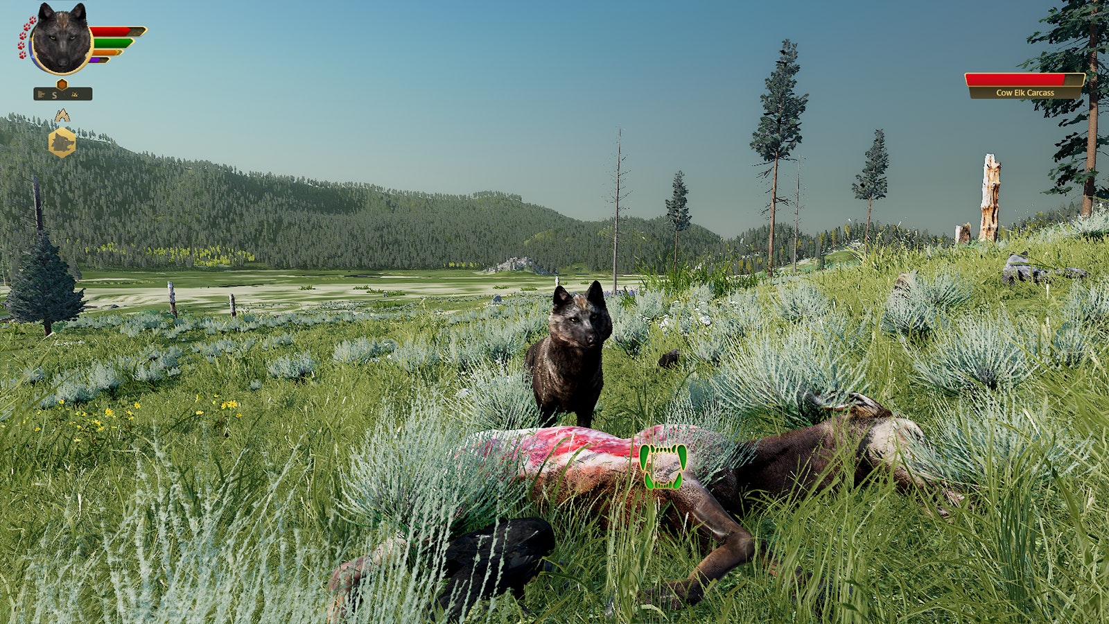 WolfQuest is a computer game in which people create their own wolf characters in a virtual Yellowstone National Park and try to find prey while avoiding fights with other wolves or being shot by hunters.