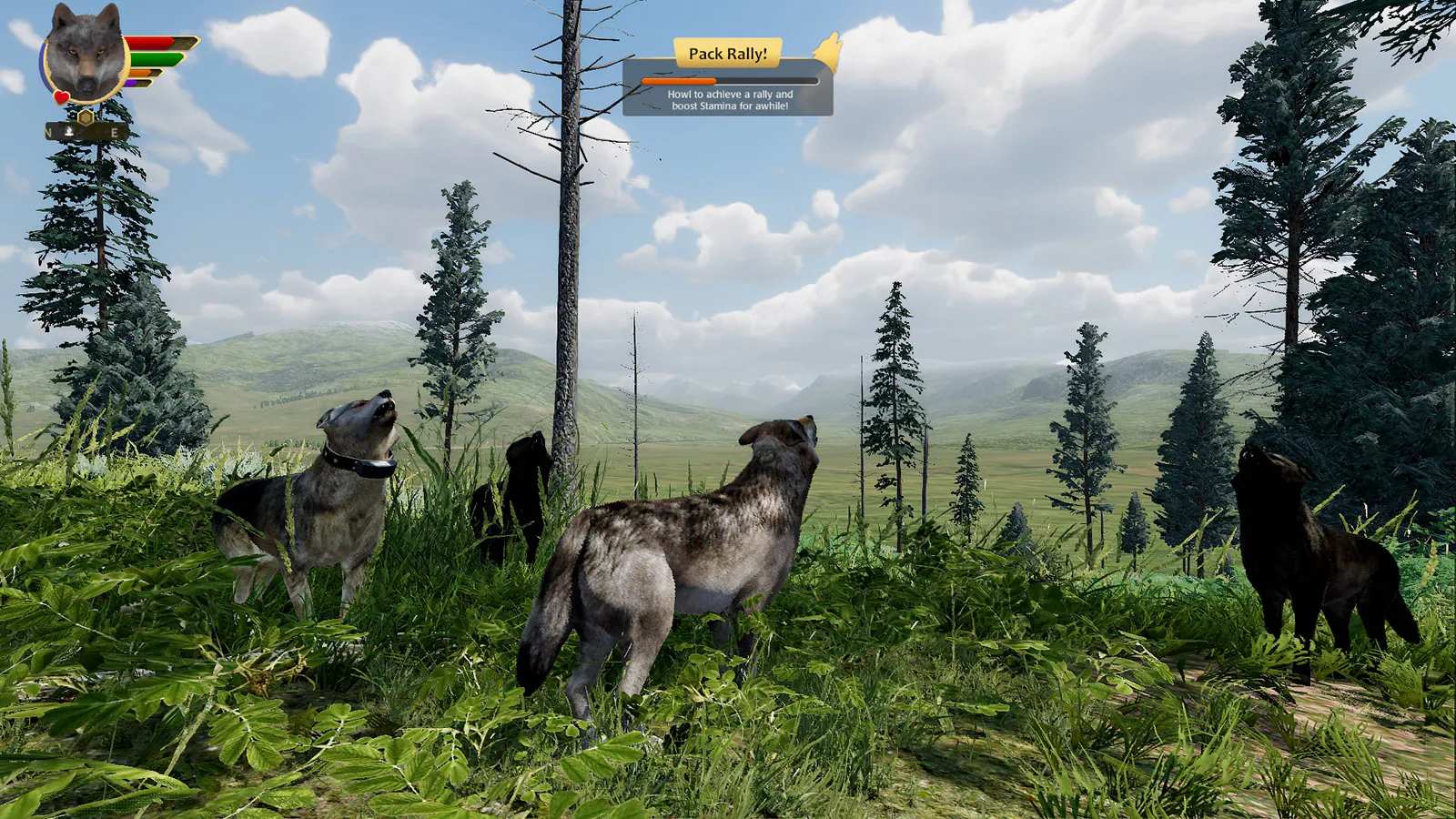 Hundreds Of Thousands Pretend They're Yellowstone Wolves In Online Game ...