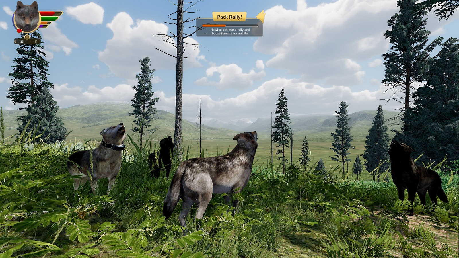 WolfQuest is a computer game in which people create their own wolf characters in a virtual Yellowstone National Park and try to find prey while avoiding fights with other wolves or being shot by hunters.