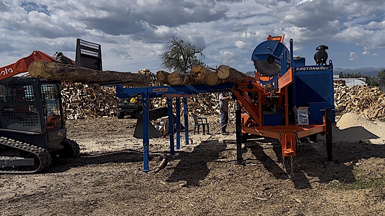 Logs are loaded onto a platform in preparation for processing.