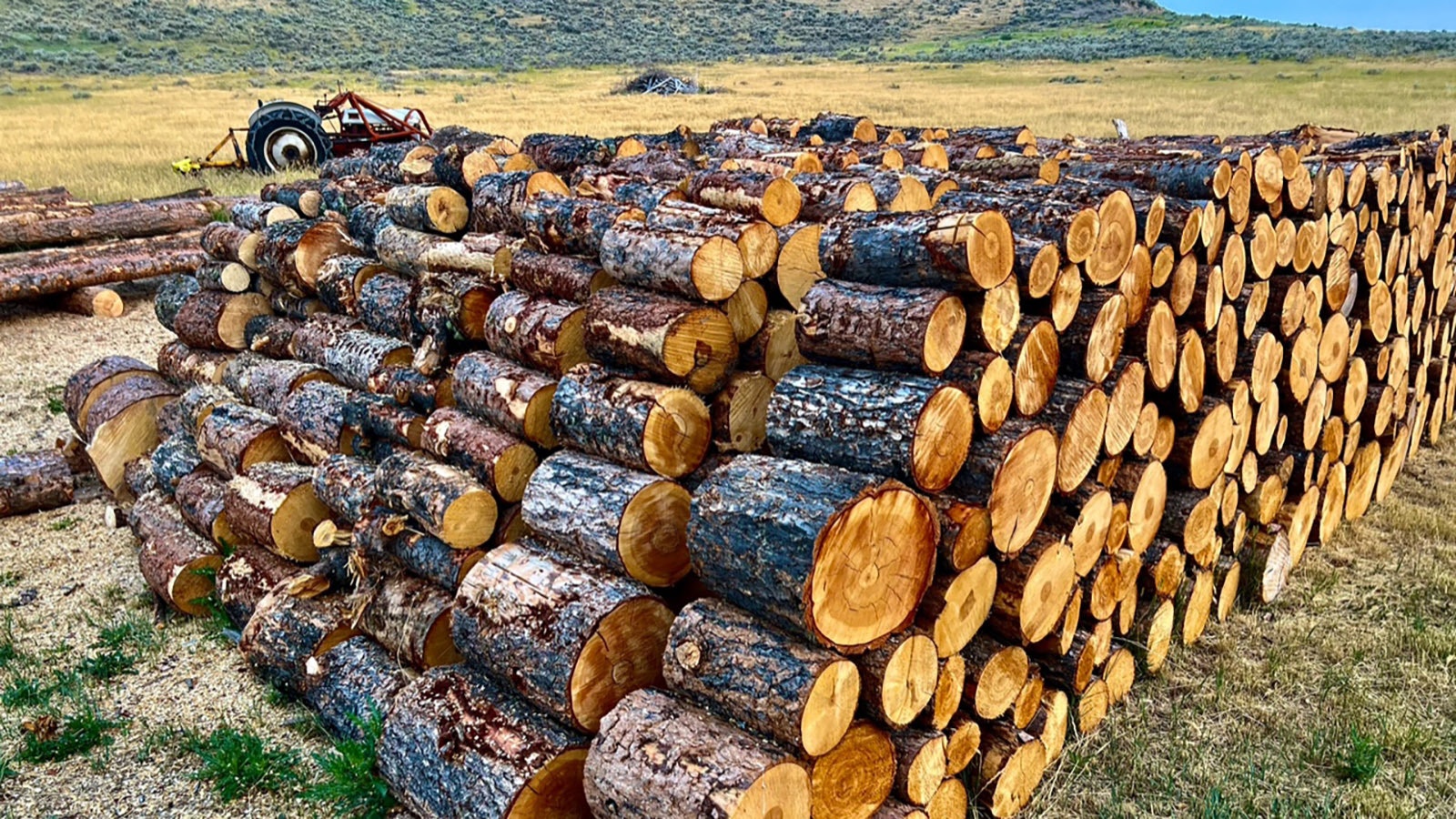 Wood Week on Craig Johnson's ranch is a lot of hard work, but it's also fun and lubricated with lots of Rainier Beer (and maybe a touch of something stronger).