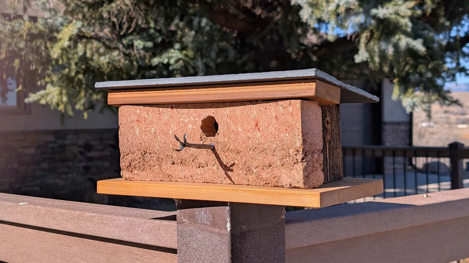 When Don Johnson of Sheridan first started building birdhouses, they were plain but he started studying architecture and designing modern homes for his feathered friends. Chickadees, wrens, finches and other small birds all call his birdhouses home.