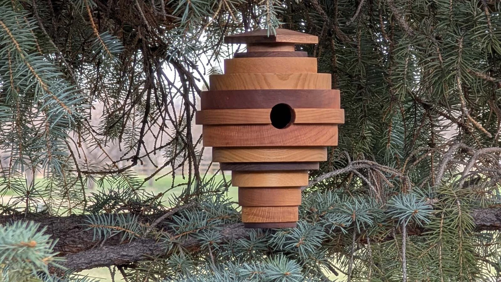 When Don Johnson of Sheridan first started building birdhouses, they were plain but he started studying architecture and designing modern homes for his feathered friends. Chickadees, wrens, finches and other small birds all call his birdhouses home.