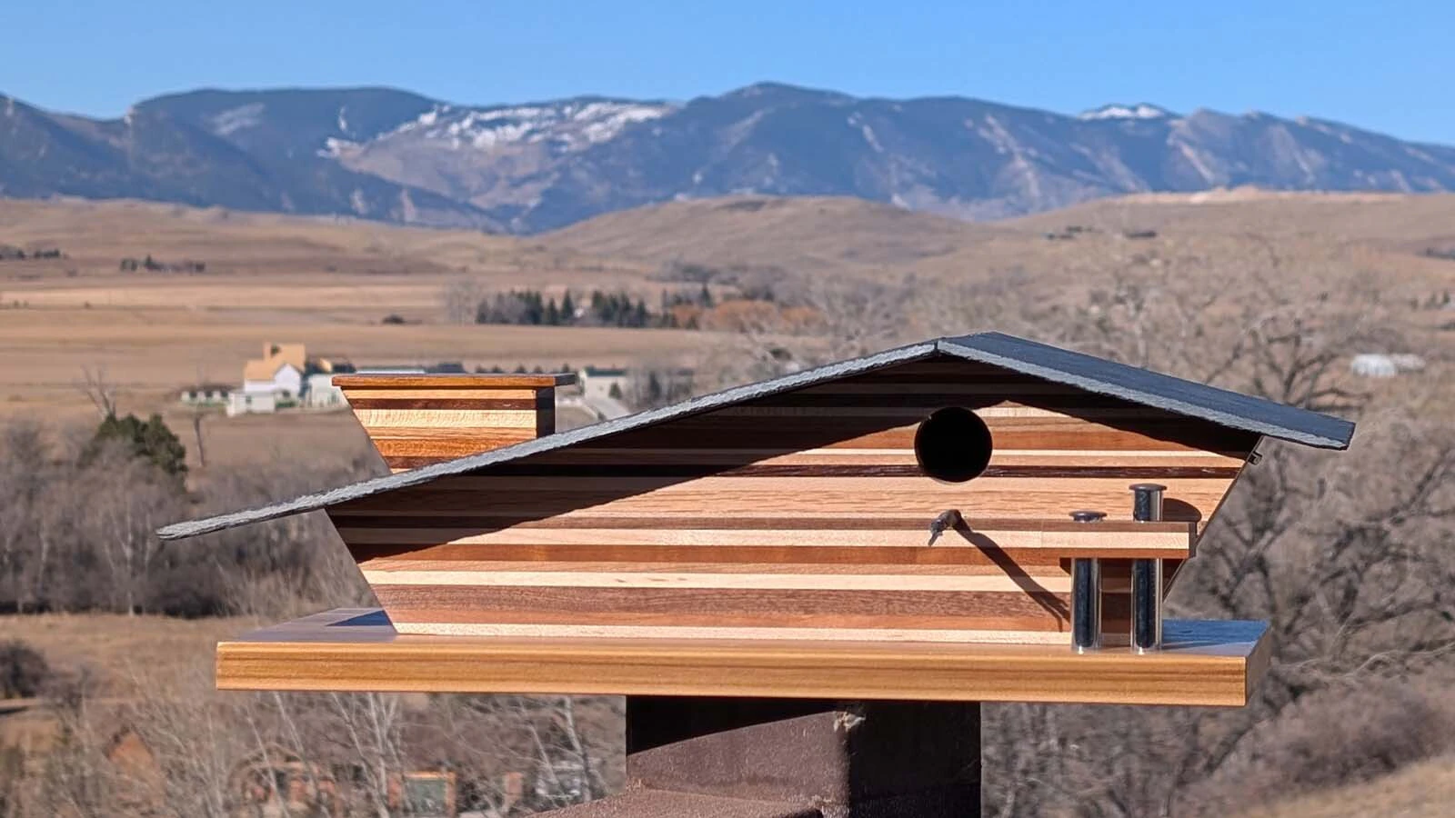 When Don Johnson of Sheridan first started building birdhouses, they were plain but he started studying architecture and designing modern homes for his feathered friends. Chickadees, wrens, finches and other small birds all call his birdhouses home.