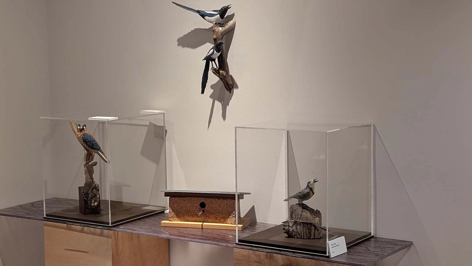 The Brinton Museum in Big Horn honored two Sheridan men with a display of their carved birds and modern birdhouses. Don Johnson and Roger Haight both deny that they are artists but the beauty of their woodworking says otherwise.