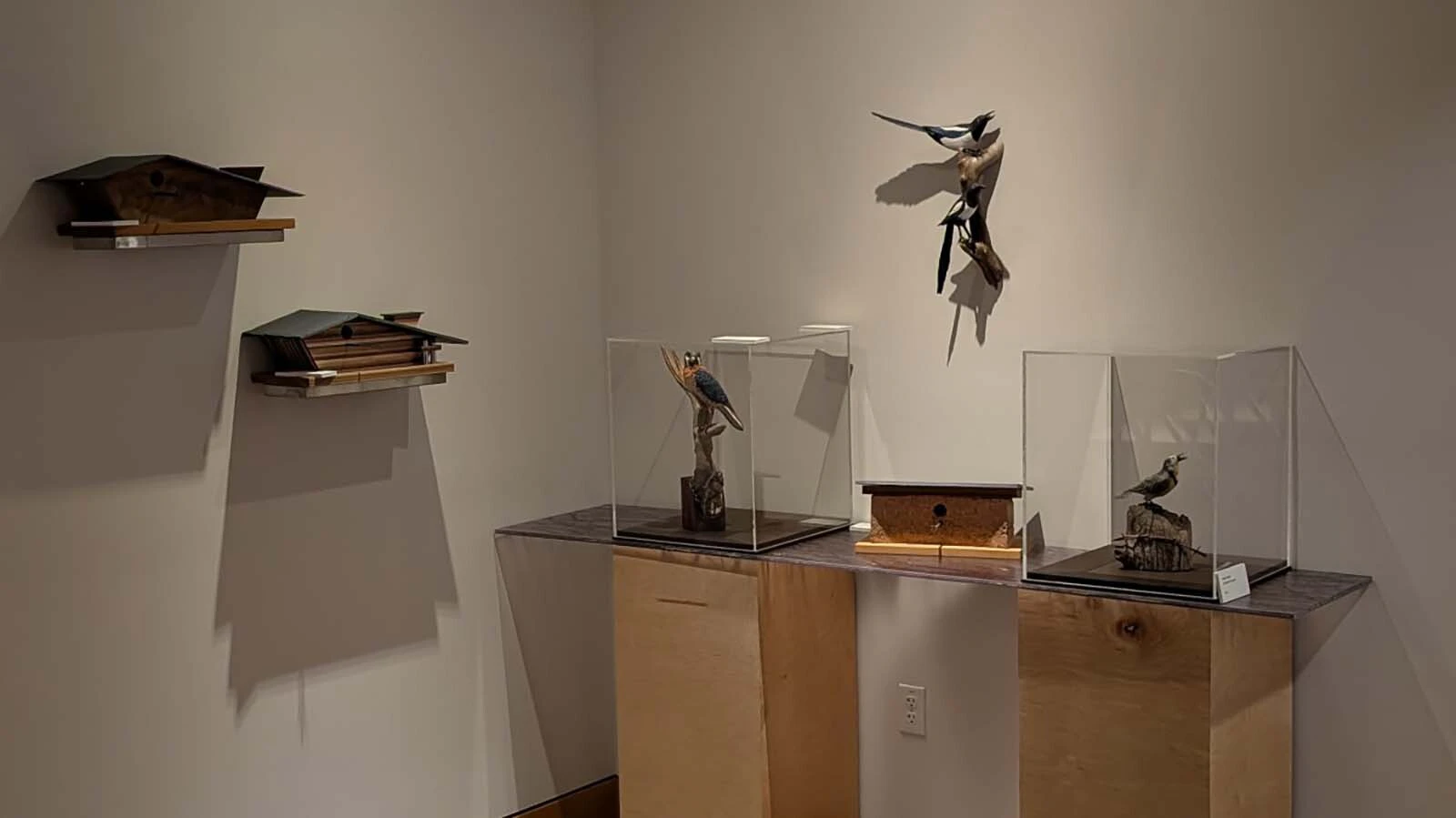 The Brinton Museum in Big Horn honored two Sheridan men with a display of their carved birds and modern birdhouses. Don Johnson and Roger Haight both deny that they are artists but the beauty of their woodworking says otherwise.