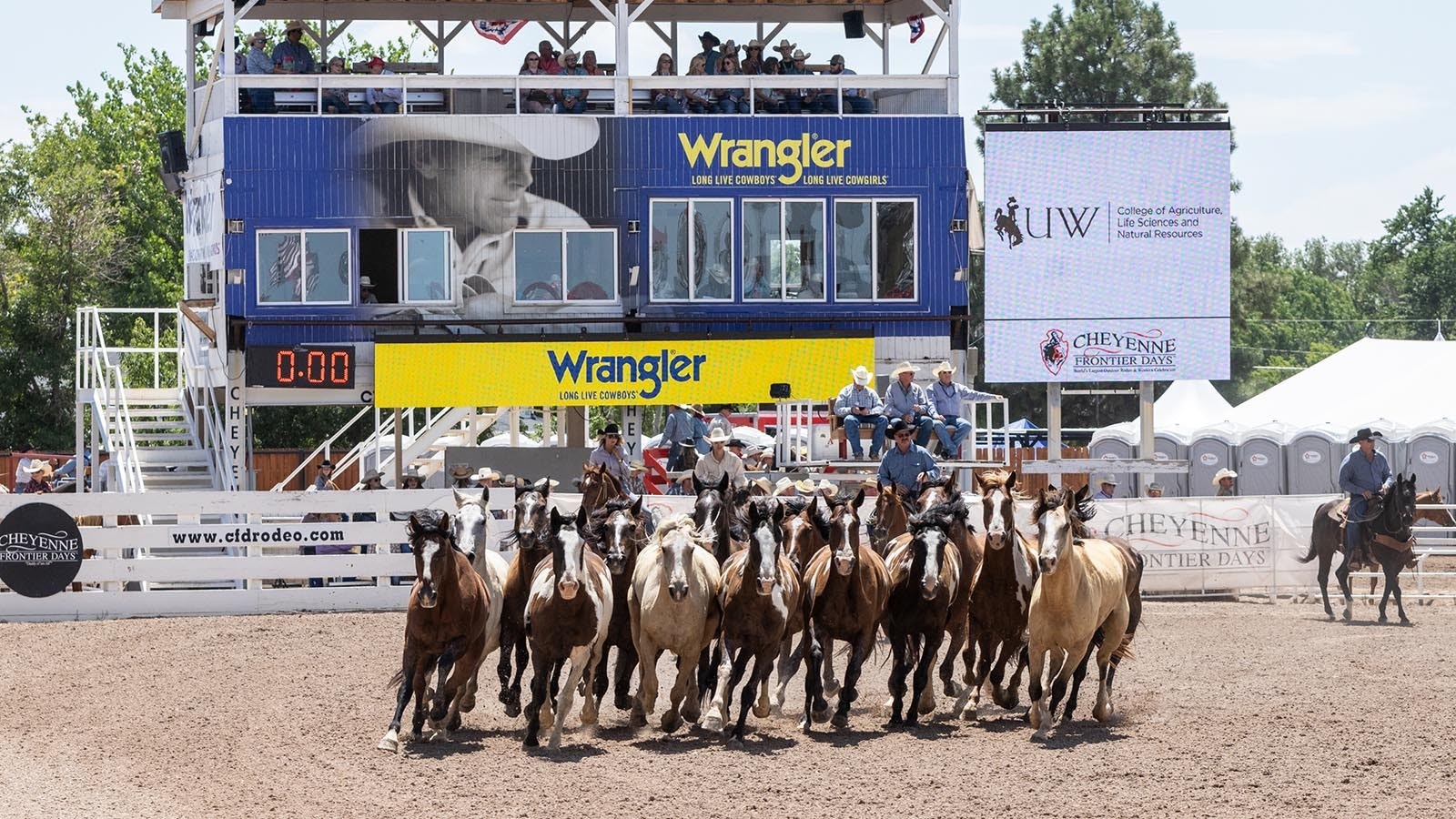 The working horses for Cheyenne Frontier Days Rodeo are on display for the crowd in the arena in this file photo.