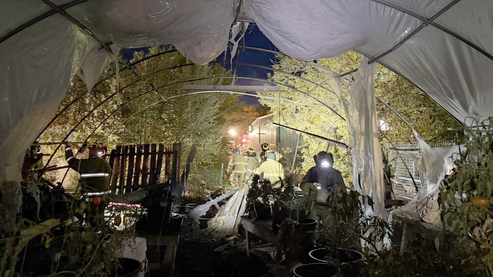 A 70-pound tortoise was singed but safe after it was rescued from a weekend greenhouse fire in Worland. Firefighters say the blaze was started when the tortoise knocked over its own heat lamp.