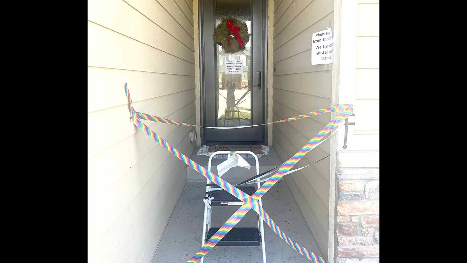 Until the baby birds are out of the nest in the wreath, the front door is off limits.