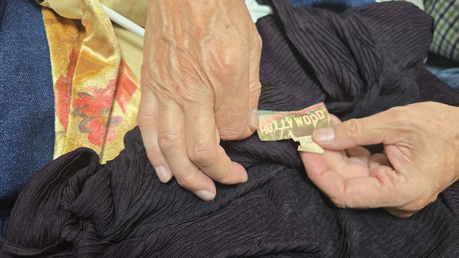 The Hollywood trademark on this clothing line helped launch it in Macy stores across the United States.