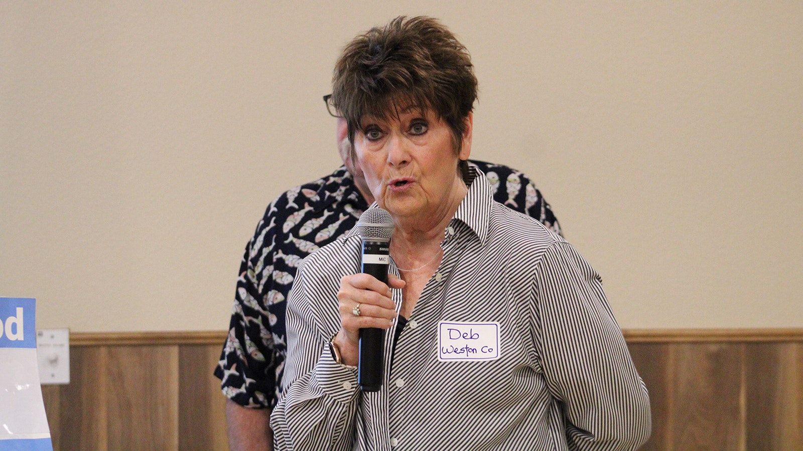 Deb Piana makes a point during Saturday's Wyoming Democratic Party Central Committee meeting.