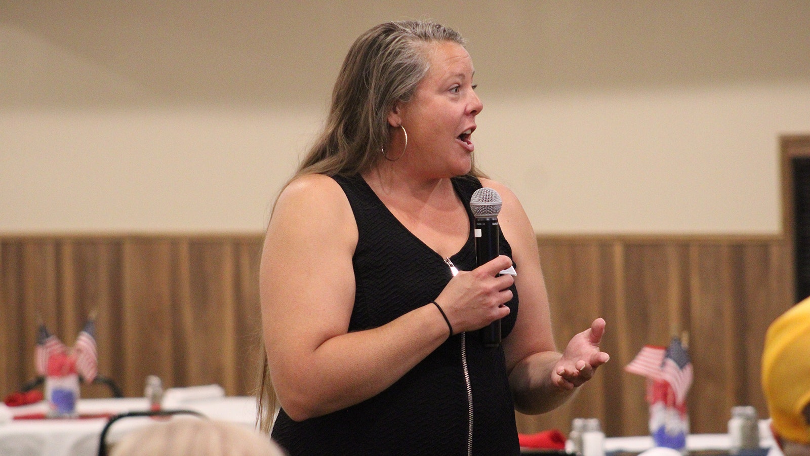 Meghan Jensen talks during Saturday's Wyoming Democratic Party Central Committee meeting.