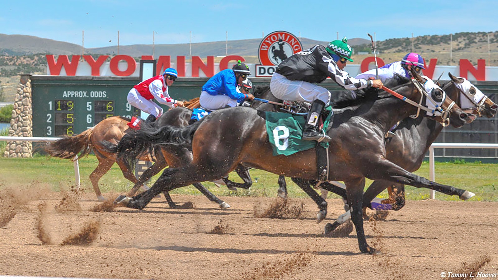 Wyoming Downs horse racing 6 23 23
