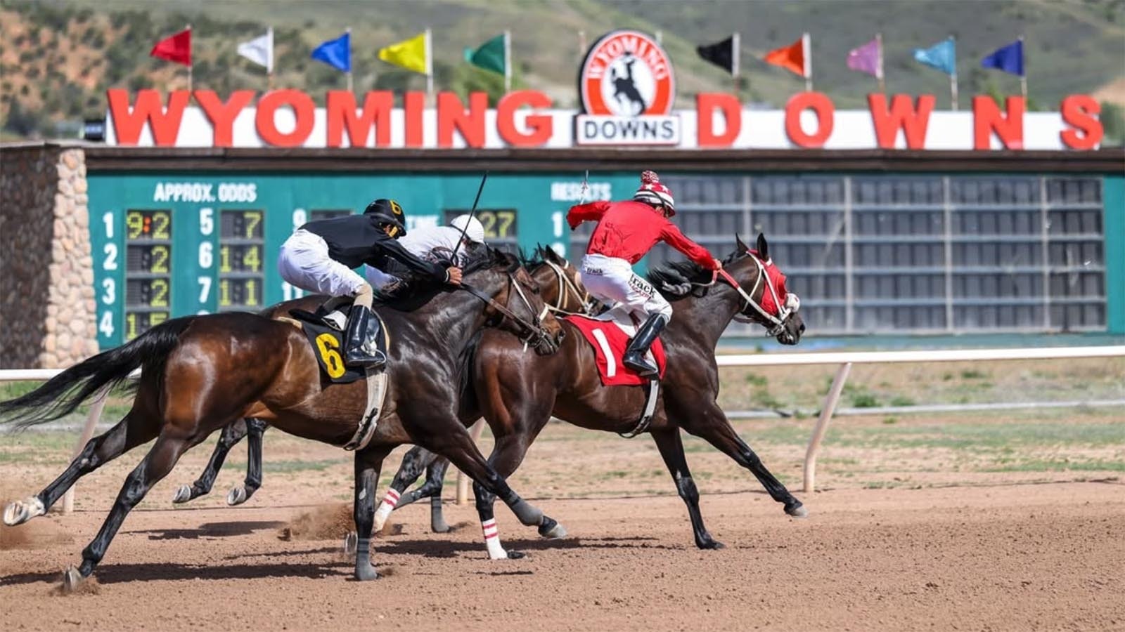 Wyoming is bucking a national trend by growing its horse racing industry. But legislators want more control of the gaming terminals that support its big purses amid complaints the state is looking too much like Montana.