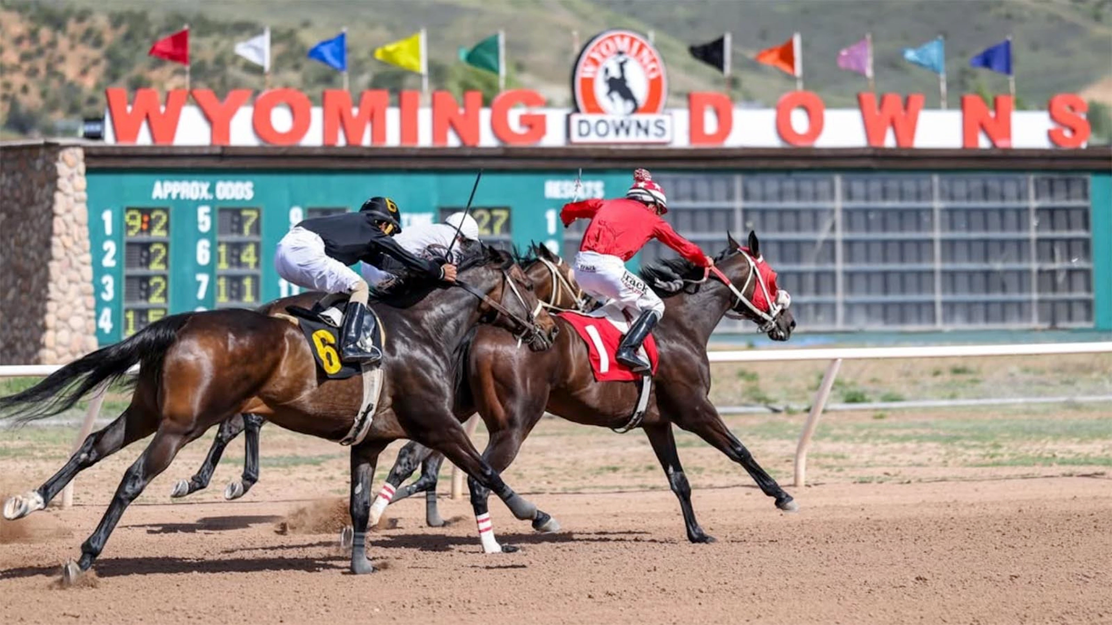 Wa State Racing Wyoming Horse Racing Is Thriving, But Legislators Want More Regulation ...
