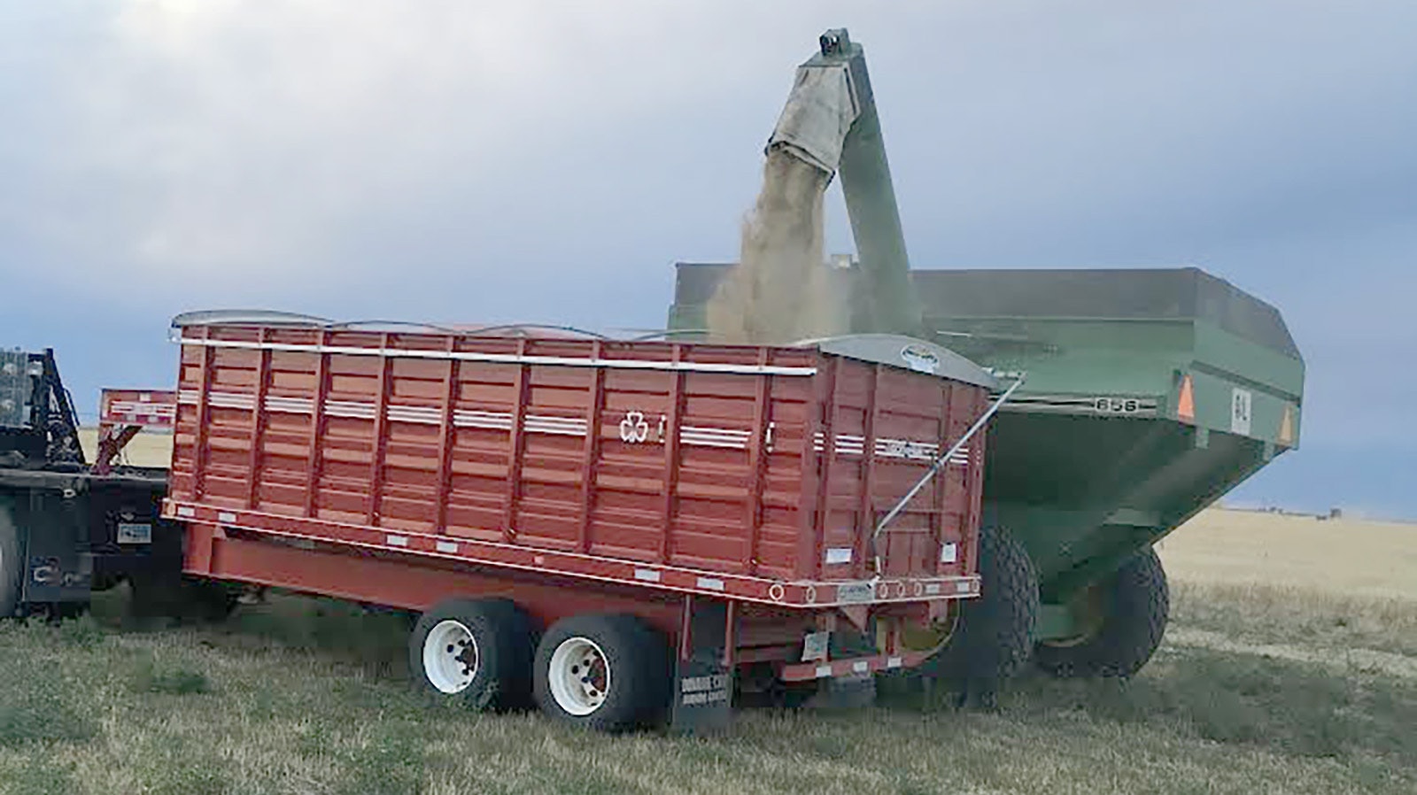 Barley that's been harvested is collected onto a trailer.