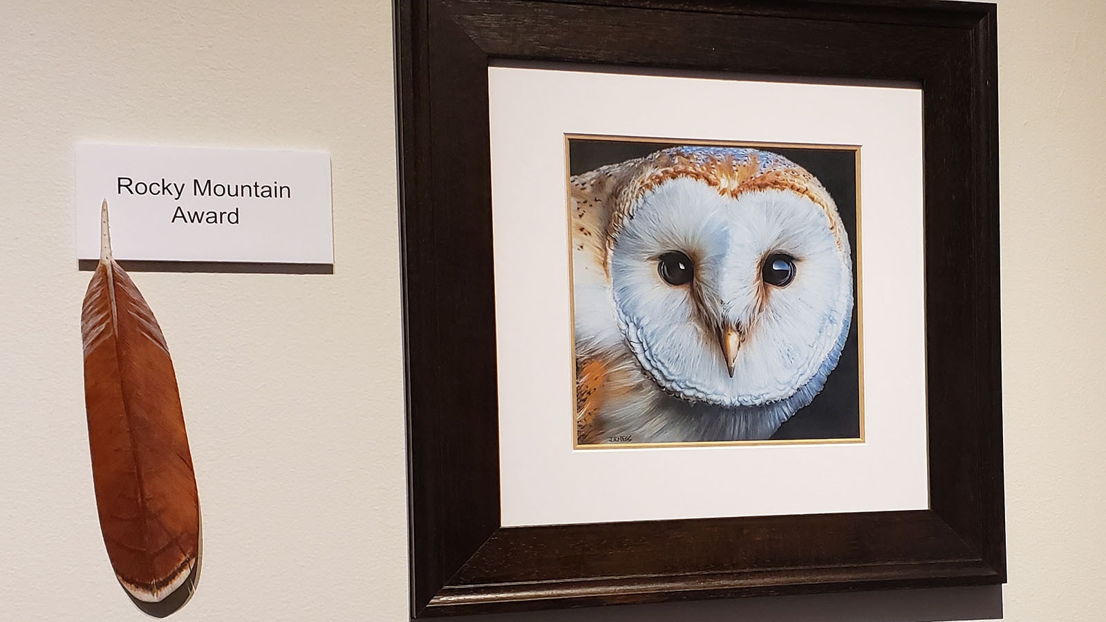 This barn owl received the Rocky Mountain Award at the "Birds of the Rockies" show at the Brinton Museum in Big Horn.