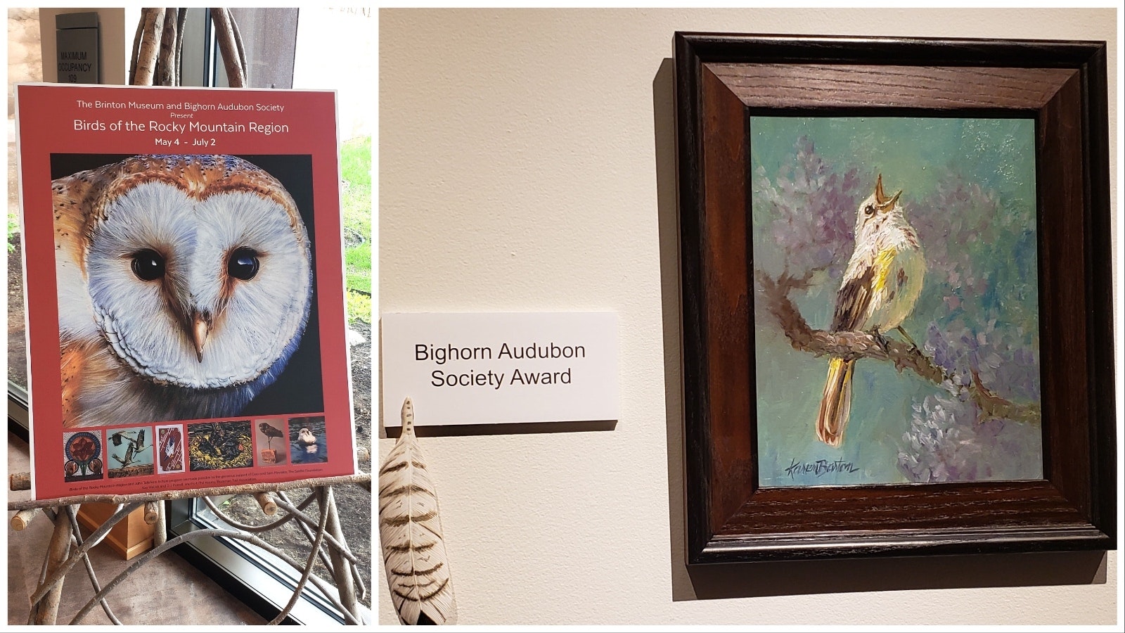 The Brinton Museum in Big Horn is hosing "Birds of the Rockies" through July 2. This painting of an American redstart, right, is part of the display.