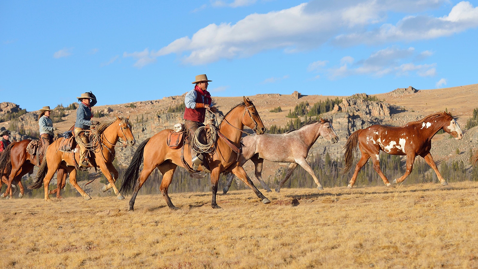 Some say the White Devil's spectral stallion continues to protect Wyoming's wild mustangs.