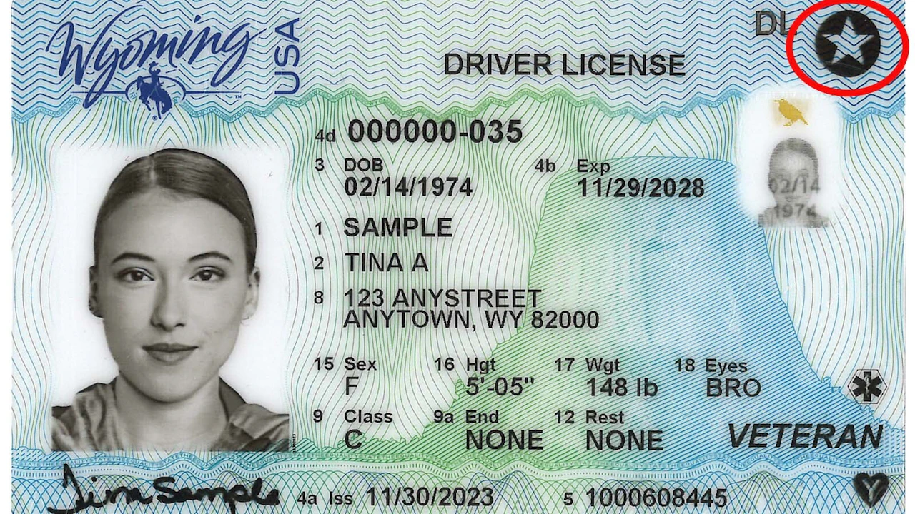 REAL IDs Will Soon Be Needed To Fly In The U S How To Know If You real-ids-will-soon-be-needed-to-fly-in-the-u-s-how-to-know-if-you