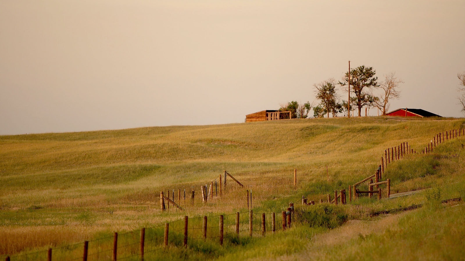 Wyoming farmland 1 13 23