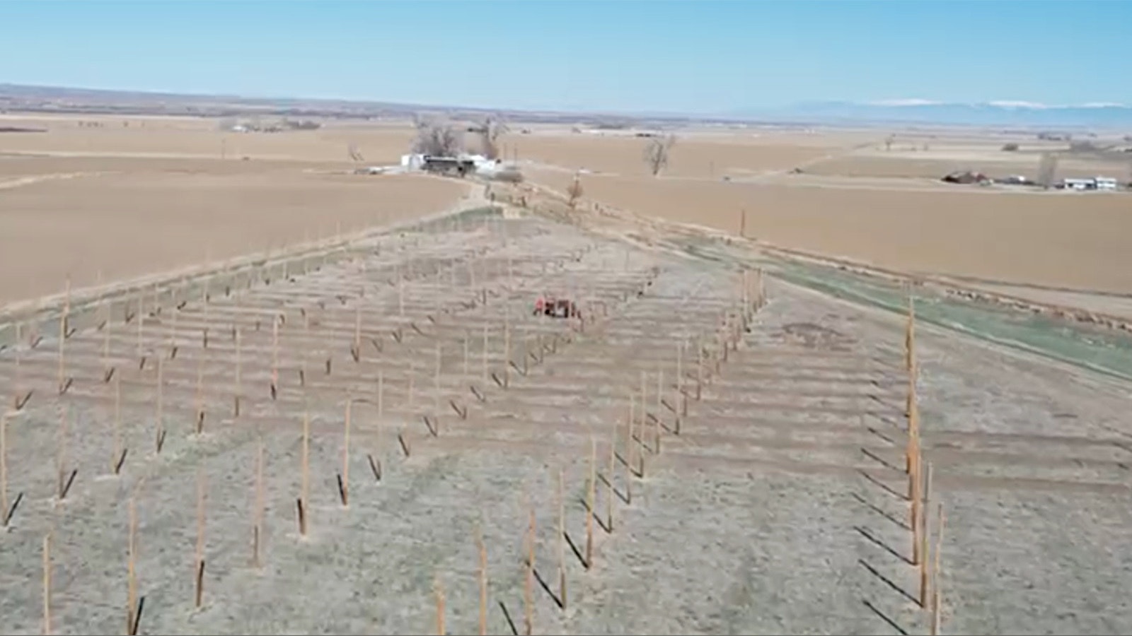 Bill Pennington is growing hops on his farm northeast of Worland, Wyoming.