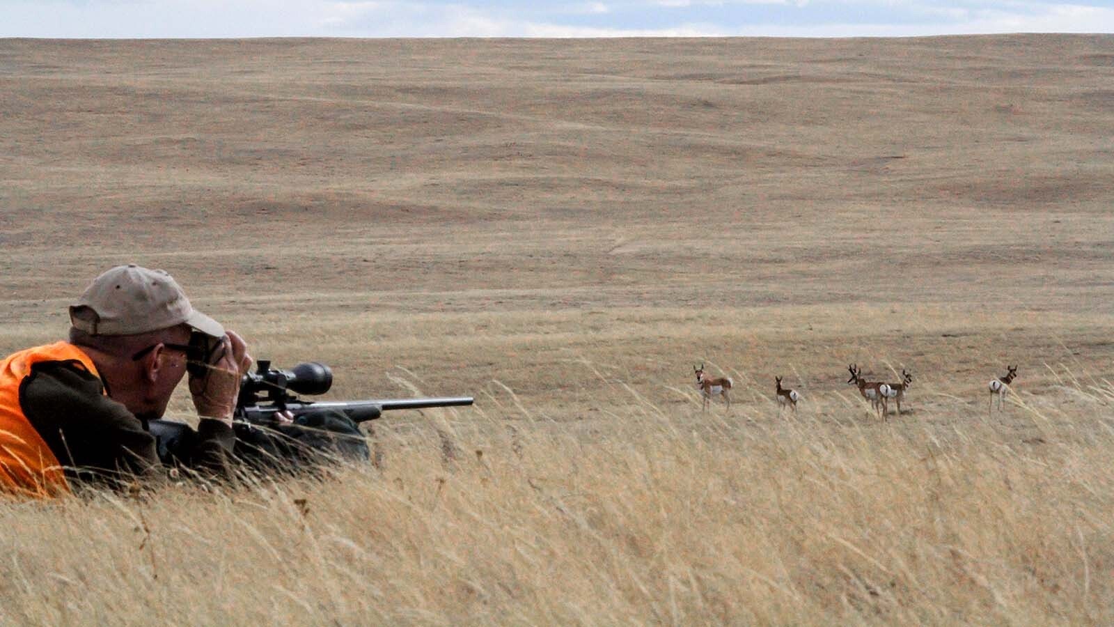 A hunter scopes out a herd of Wyoming antelope. The Wyoming Game and Fish Commission on Tuesday could face hundreds of landowners and residents angry over proposed changes to the landowner hunting tag program. The new regulations could cut as many as 70% of the current allotment of landowner tags.