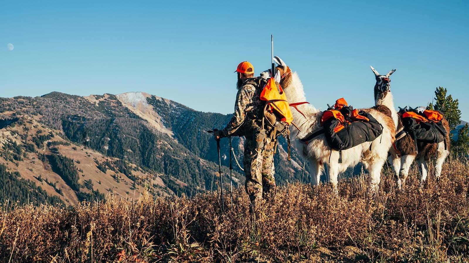 The Wyoming Game and Fish Commission on Tuesday could face hundreds of landowners and residents angry over proposed changes to the landowner hunting tag program. The new regulations could cut as many as 70% of the current allotment of landowner tags.