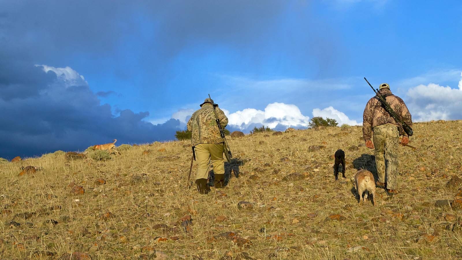 A proposal to raise the amount of land Wyomingites must own to qualify for landowner hunting tags is apparently off the table. But hunters worry it could come back for consideration by the Legislature.