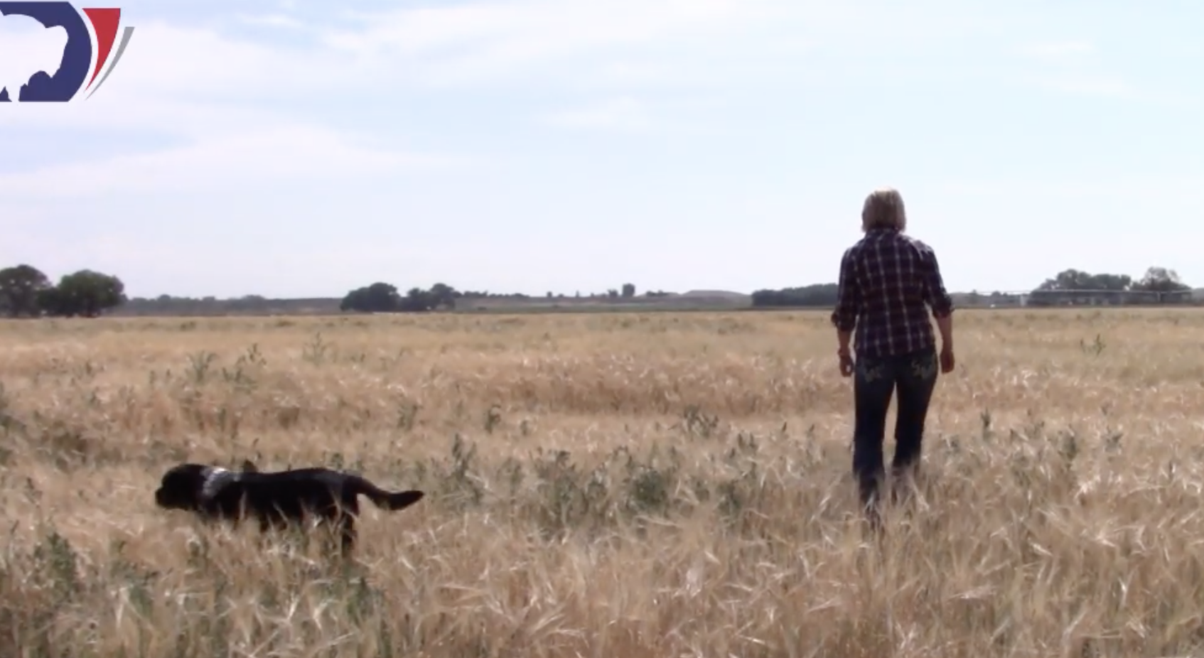 Wyoming products to Taiwan