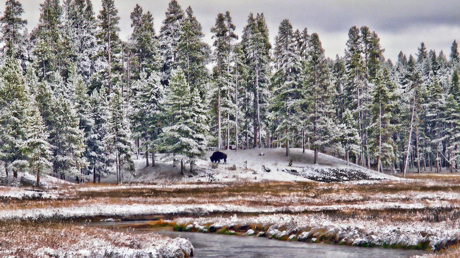 Wyoming snow Getty Images 186804124 10 28 24