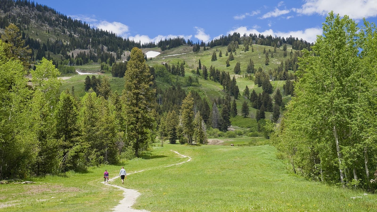 A pair of hikers enjoy a summer hike at Jackson Hole Mountain Resort in this file photo.
