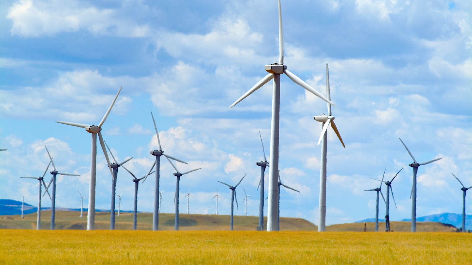 Wyoming turbines near Rock River Steve Hamblin via Alamy 6 30 25