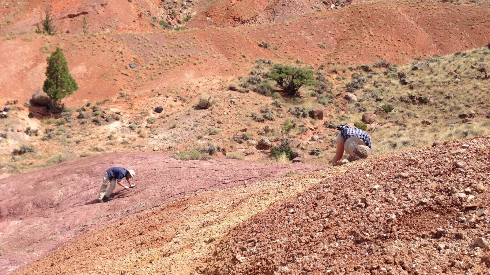 Two members of a University of Wisconsin field crew work at a site in Wyoming where fossils of a 230 million-year-old dinosaur were found.