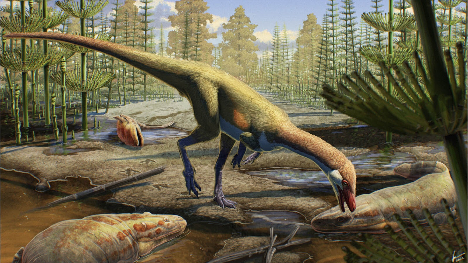 An artist's rendering of what Ahvytum bahndooiveche may have looked when it lived 230 million years ago in what is now Wyoming.