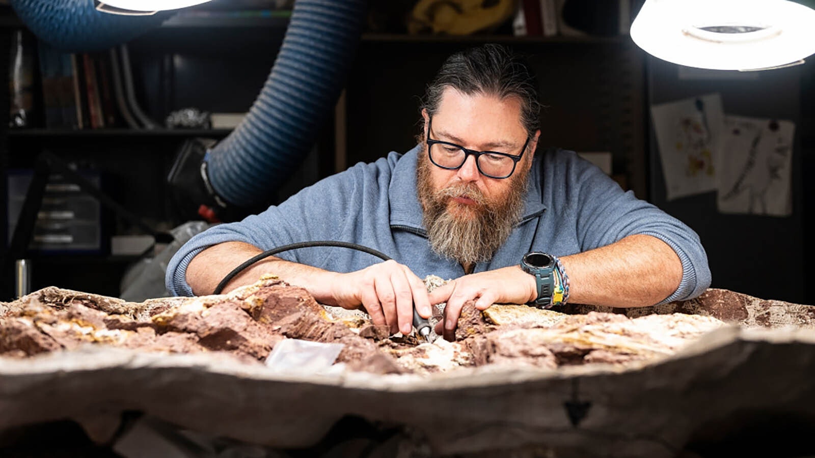 David Lovelace, a museum scientist at the University of Wisconsin-Madison Department of Geoscience, works on a fossil in plaster, part of the earliest dinosaur ever discovered in Wyoming.