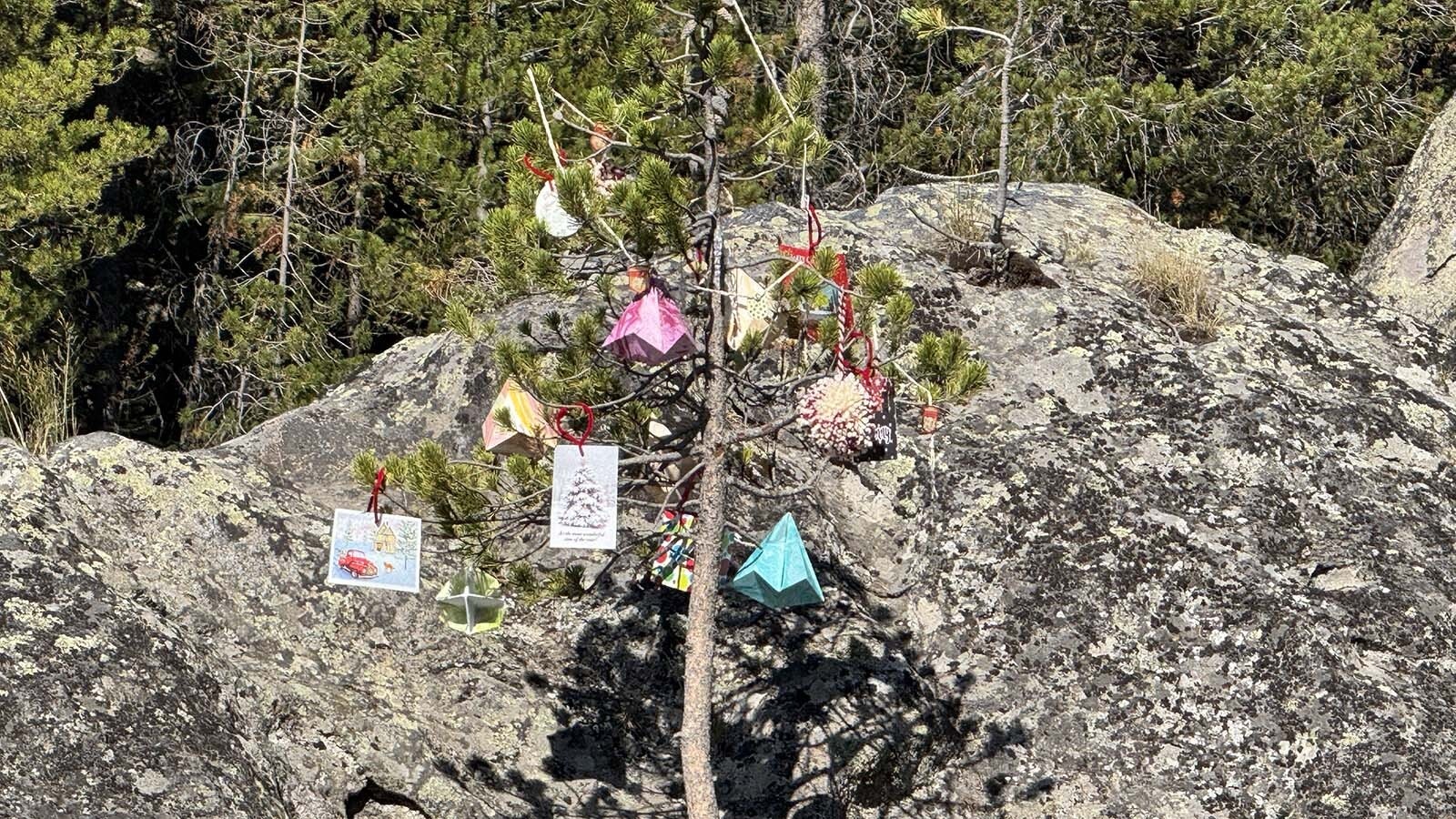 Forget the night before Christmas, Santa hits Yellowstone National Park four months before. Christmas in August was celebrated Monday, and has been an annual tradition in Yellowstone National Park for more than 70 years.
